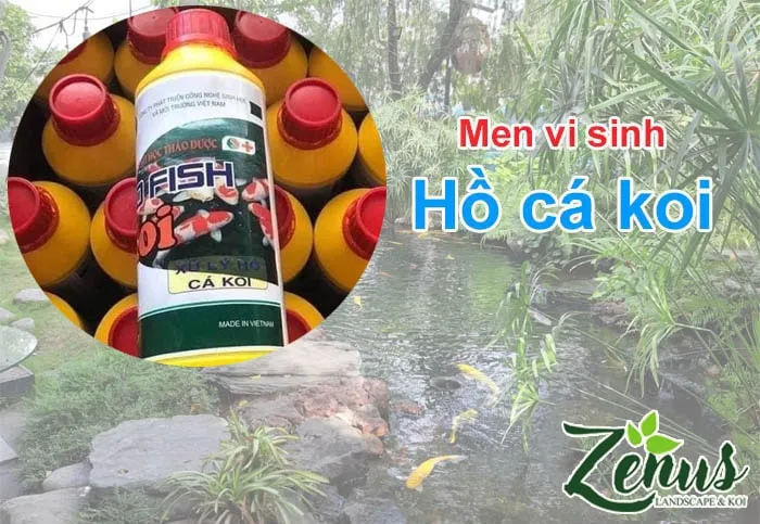 Men vi sinh hỗ trợ xử lý nước hồ cá có bọt và duy trì hệ sinh thái