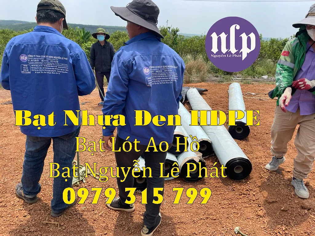 Minh họa các loại bạt nhựa đen HDPE phổ biến trên thị trường