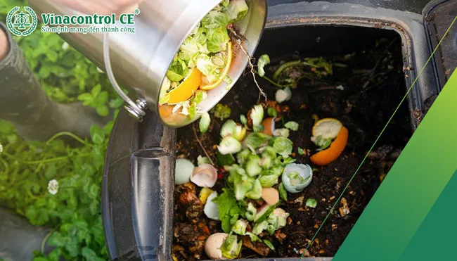 Minh họa các phương pháp xử lý rác thải hữu cơ phổ biến