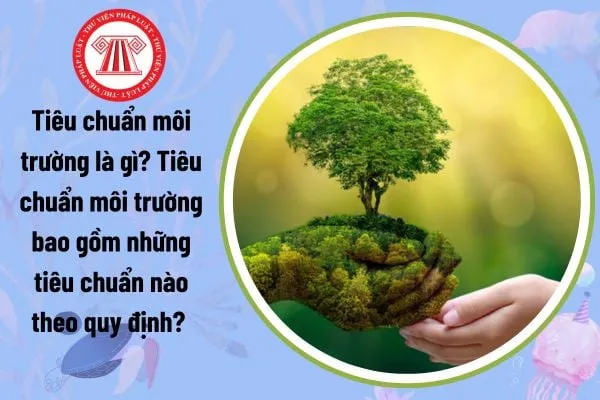 Minh họa hệ thống quy định và tiêu chuẩn môi trường Việt Nam cho các dự án xử lý chất thải và bảo vệ tài nguyên.