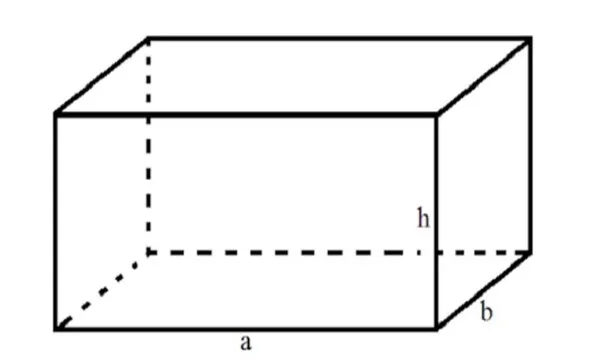 Minh họa hình dáng của hồ nuôi tôm cá để dễ dàng tính giá bạt lót hồ cá DHP trọn gói
