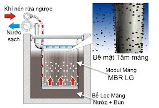 Minh họa nguyên lý lọc và quy trình rửa màng MBR hiệu quả