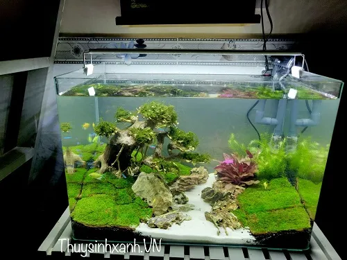 Mô hình bể chứa mini 50x30x30cm với lớp lót HDPE bền vững