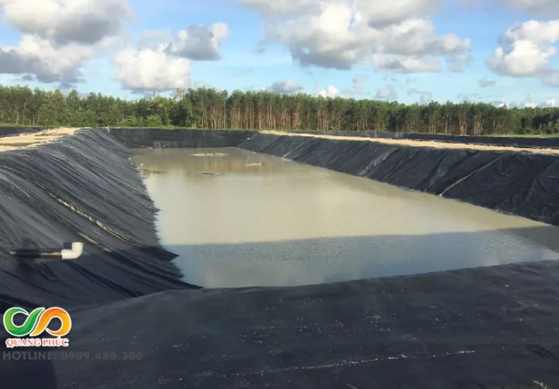 Mô hình hầm biogas hiện đại sử dụng bạt HDPE chống thấm hiệu quả, tối ưu hóa xử lý chất thải chăn nuôi