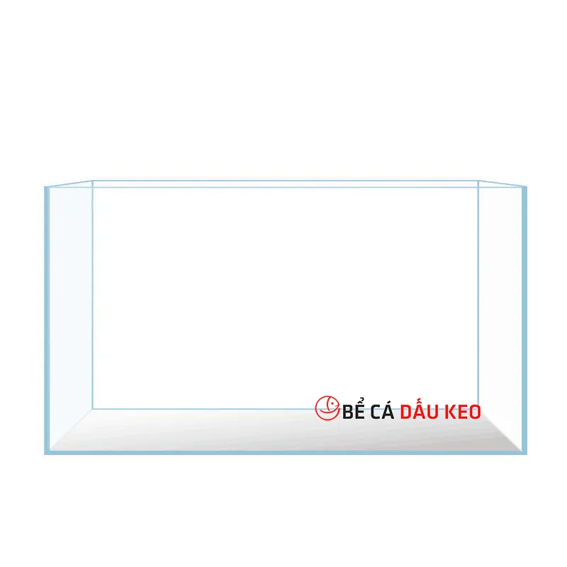 Mô hình hồ cá kích thước 70x40x40 cm ứng dụng bạt chống thấm