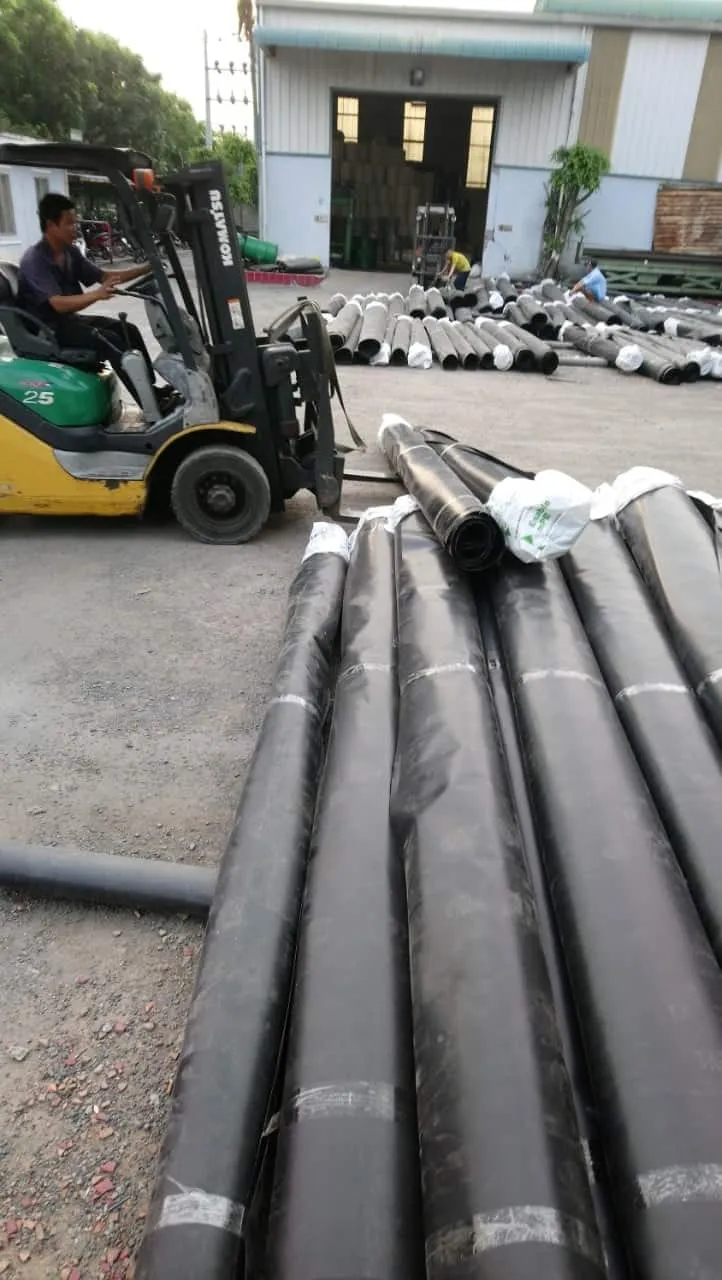Mô hình nuôi tôm lót vải bạt chống thấm HDPE hiệu quả kinh tế