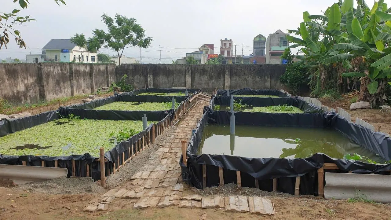 mô hình tiết kiệm được chi phí đầu tư