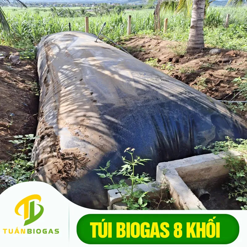 Mô hình túi biogas 8 khối tiện lợi