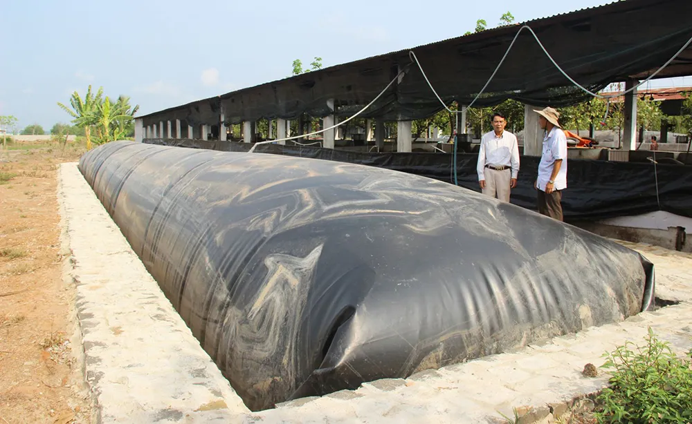 Mô hình xử lý chất thải chăn nuôi bằng biogas mang lại lợi ích kinh tế, môi trường và xã hội bền vững