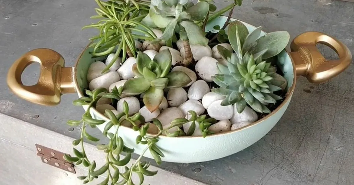 Một chiếc chảo cũ được tận dụng để trồng sen đá, tạo nên một tiểu cảnh ấn tượng và thể hiện sự sáng tạo trong tái chế vật liệu.