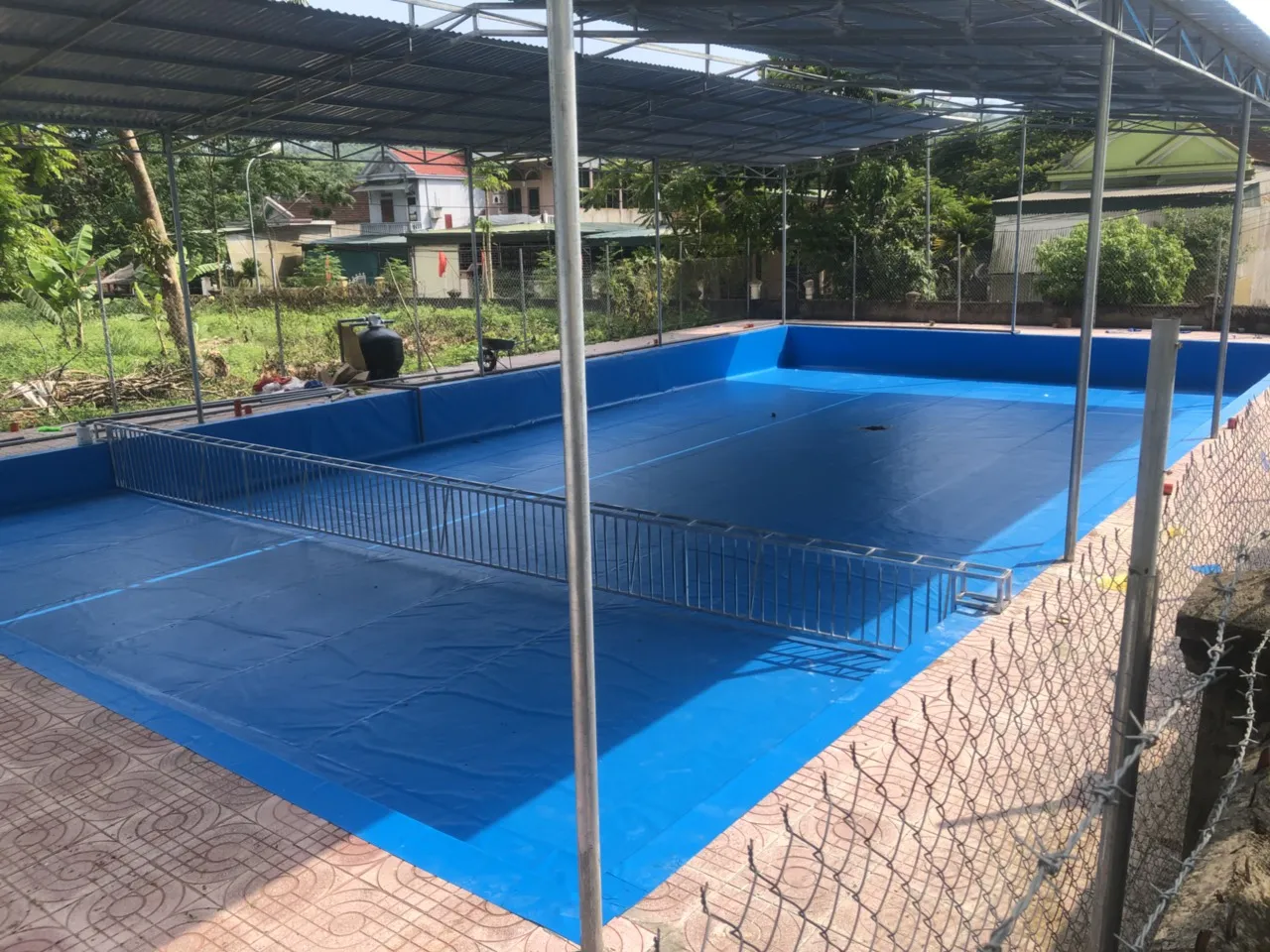 Một góc bể bơi lót bạt PVC màu xanh với nước trong xanh, thu hút.