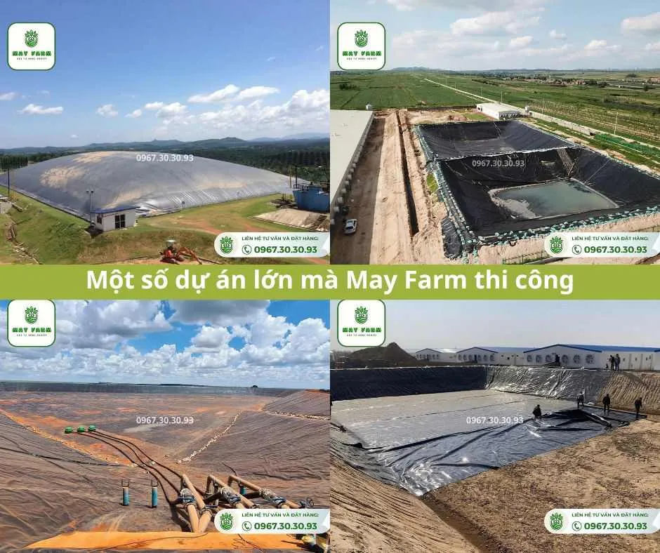 Một số dự án lớn bạt chống thấm HDPE May Farm thi công