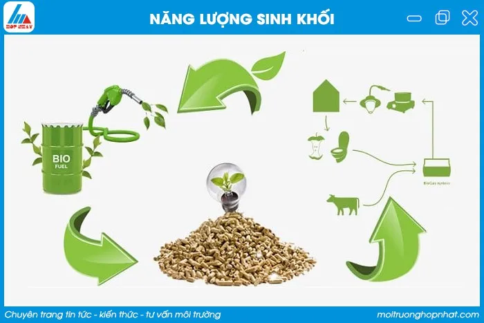 Năng lượng sinh khối với tiềm năng lớn ở Việt Nam