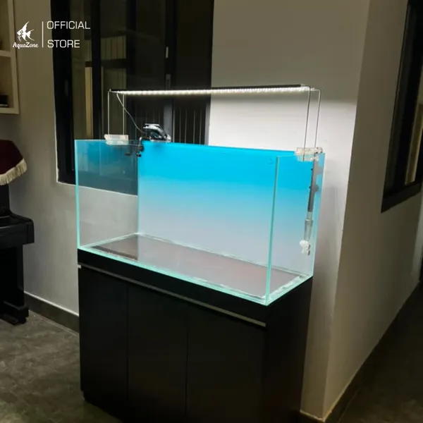 Nên chọn bể có kích thước lớn