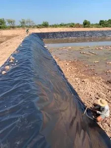 Neo bạt HDPE vào rãnh cố định