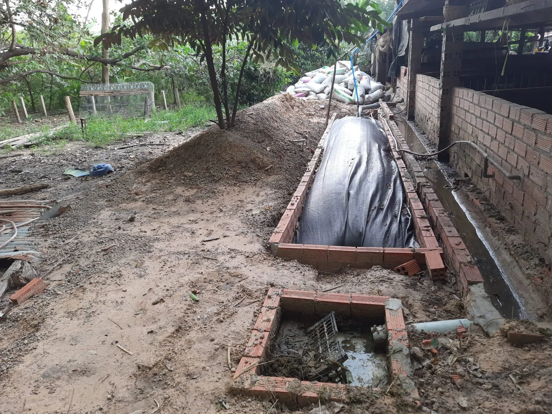 Người nông dân đang chuẩn bị lắp đặt túi biogas tại trang trại