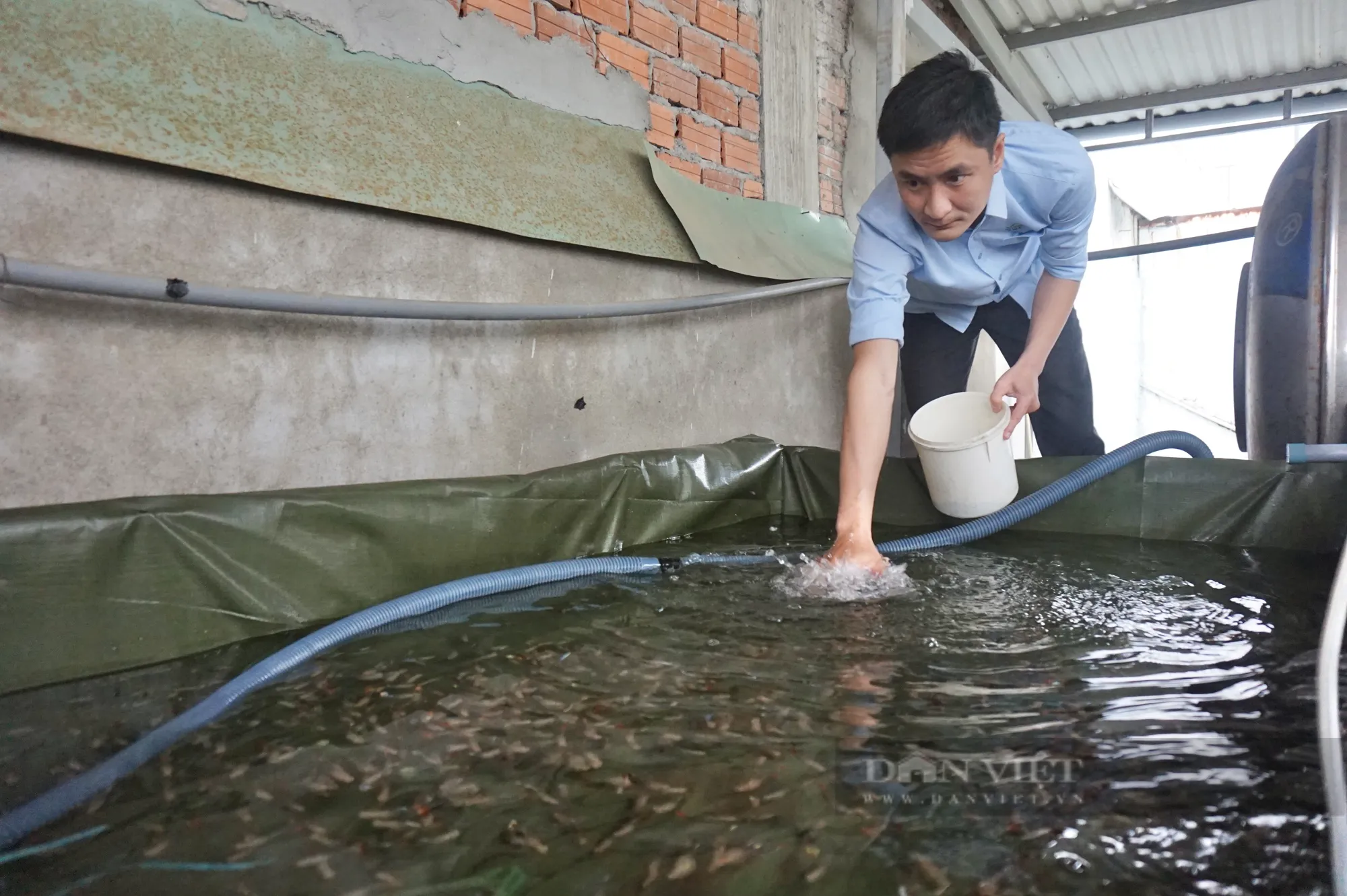Nguồn nước là yếu tố quan trọng nhất để nuôi cá hà lan sinh trưởng tốt. Ảnh: T.N.