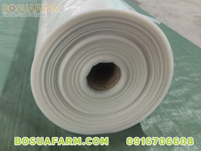 Máy hàn bạt nhựa 