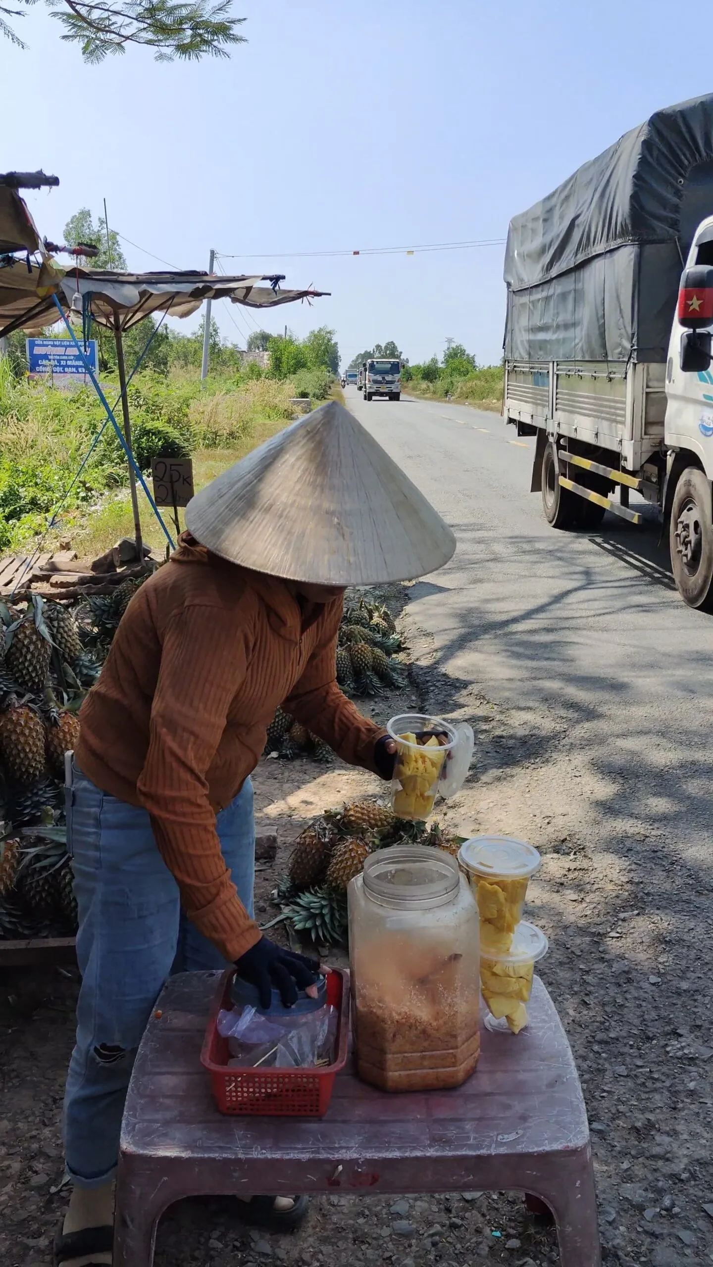 Nông trại dứa với hệ thống quản lý nước hiệu quả