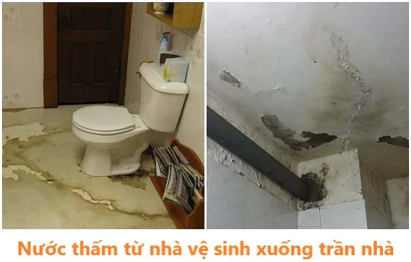 Nước thấm từ nhà vệ sinh xuống trần nhà