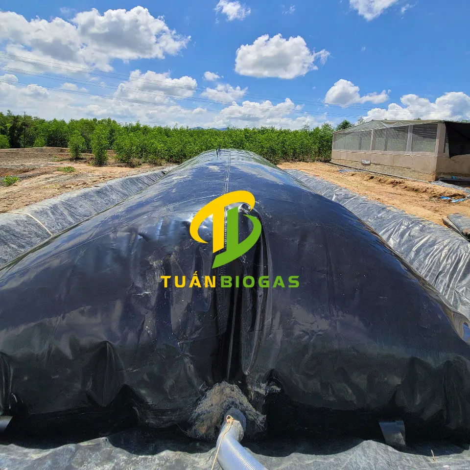 Quá trình phân hủy yếm khí tạo khí biogas