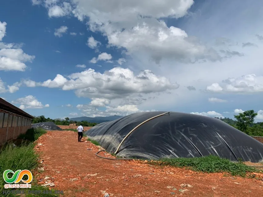 Quá trình thi công màng chống thấm HDPE tại công trình hầm biogas xử lý nước thải chăn nuôi, đảm bảo hiệu quả môi trường