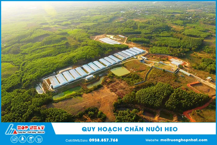 Quy hoạch khu vực chăn nuôi lợn tập trung và hợp lý