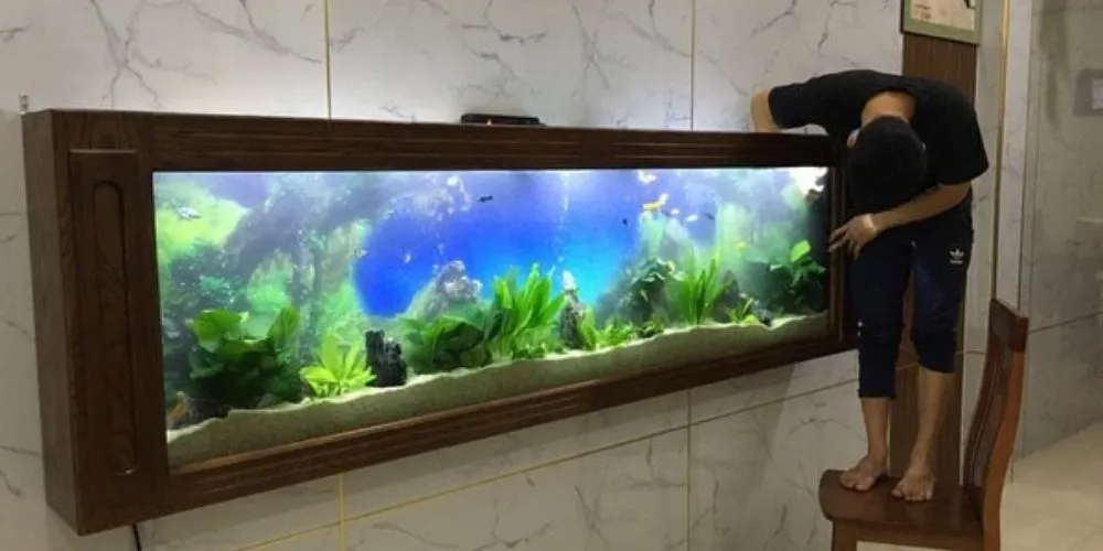 Quy trình lựa chọn và lắp đặt hồ cá treo tường mini bằng bạt HDPE