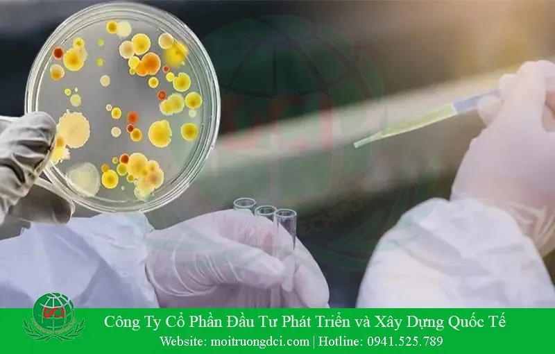 Quy trình nuôi cấy vi sinh vật xử lý rác thải hiệu quả