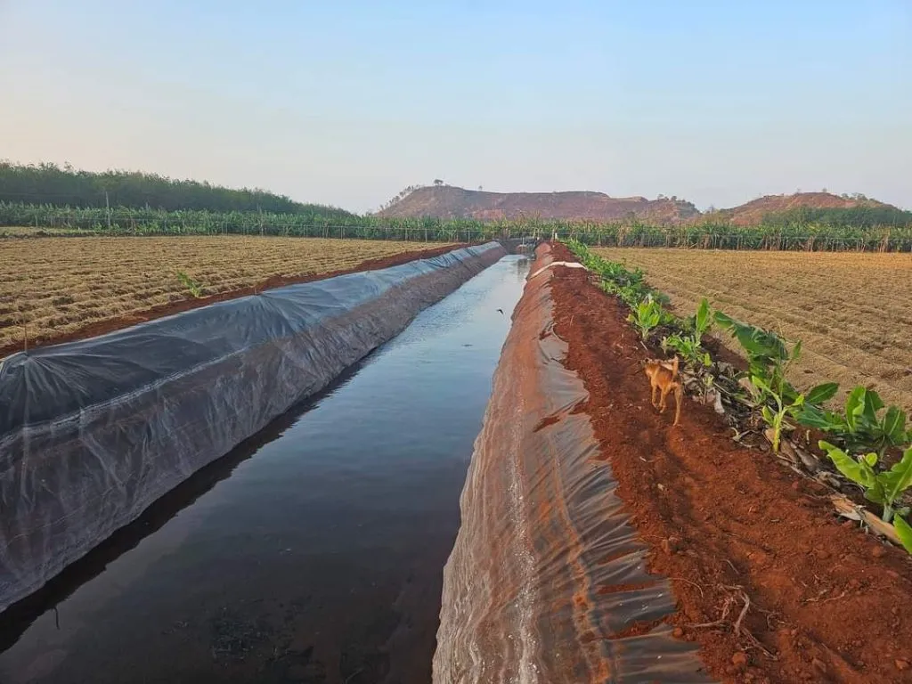 Quy trình thi công bạt HDPE lót bờ kênh