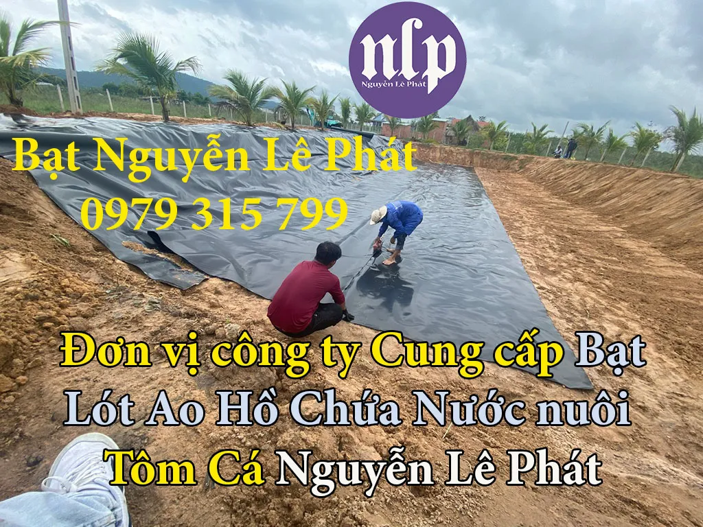 Quy trình thi công bạt làm bể cá chuyên nghiệp