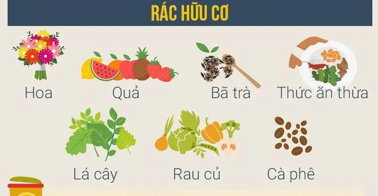 Rác hữu cơ dễ phân hủy