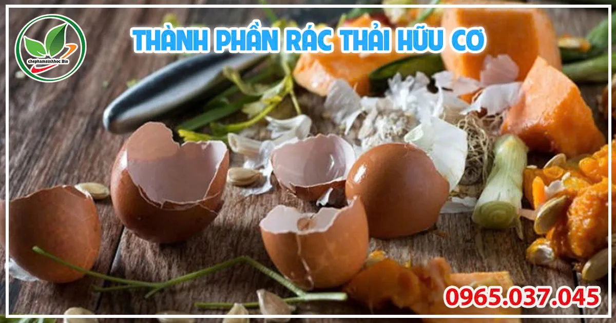 Rác thải hữu cơ đa dạng từ thực phẩm, sẵn sàng cho quá trình phân hủy sinh học