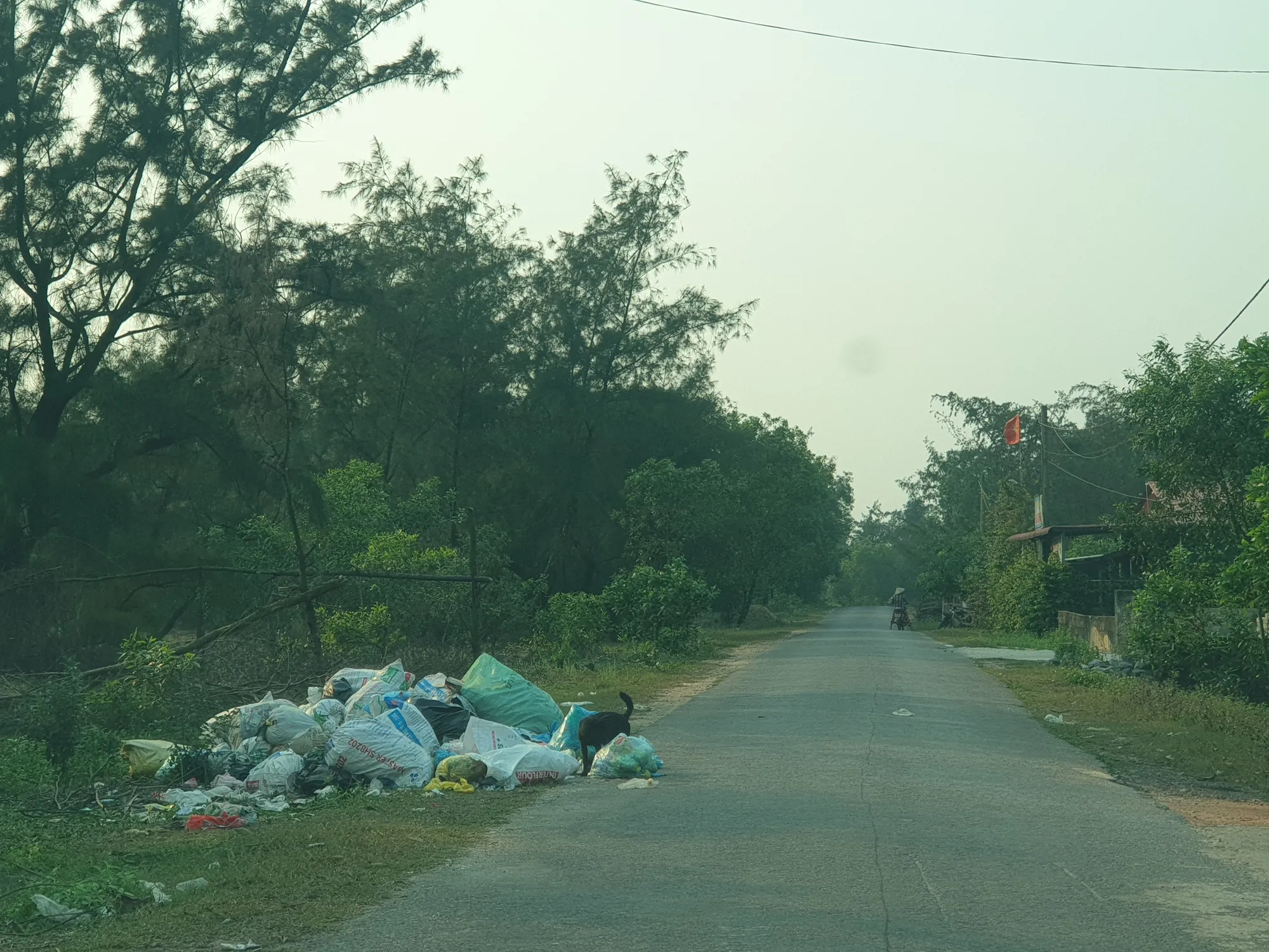 Rác thải không được xử lý gây ô nhiễm môi trường và ảnh hưởng sức khỏe cộng đồng