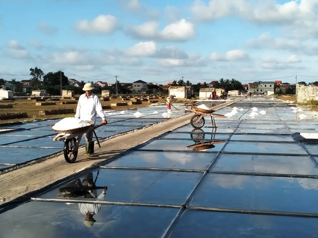 Ruộng muối được lót bạt HDPE nhìn từ trên cao, thể hiện sự đồng bộ và thân thiện môi trường của giải pháp địa kỹ thuật này