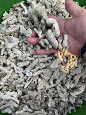 San hô lọc nước chứa CaCO3 giúp tăng độ pH và làm môi trường sống cho vi sinh vật