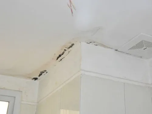 Sàn mái bằng bị nấm mốc và xuống cấp nghiêm trọng do thấm dột lâu ngày