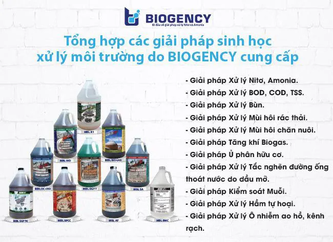 Sản phẩm vi sinh vật hỗ trợ xử lý ô nhiễm môi trường đất, nước và không khí