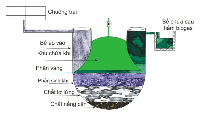 Sơ đồ cấu tạo bên trong của một bể biogas composite hiện đại, với các ngăn xử lý riêng biệt được minh họa rõ ràng.