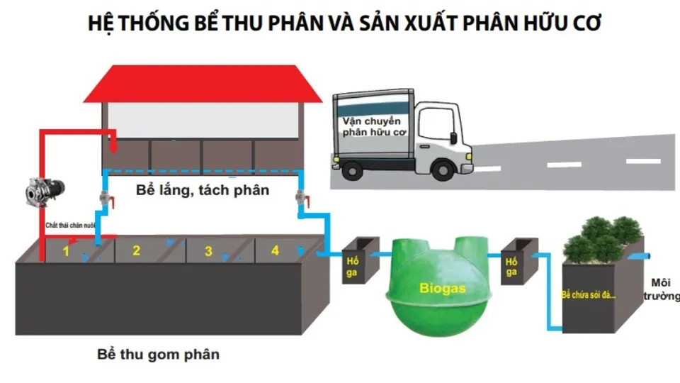 Sơ đồ kỹ thuật xây dựng hệ thống biogas xử lý phân chuồng