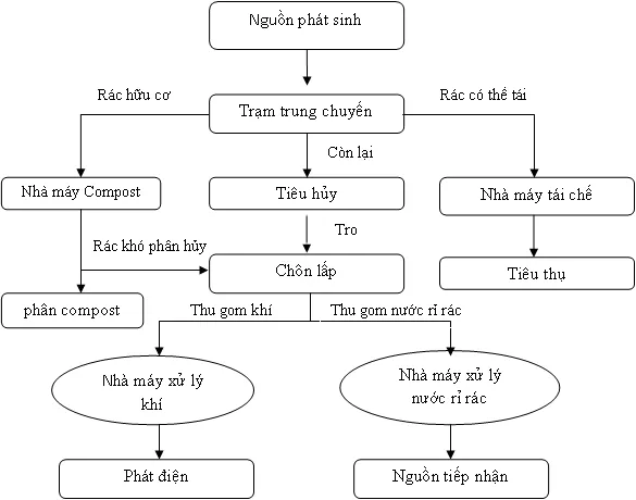 Sơ đồ minh họa cơ chế sinh hóa phức tạp trong quá trình hình thành khí biogas từ chất thải hữu cơ.