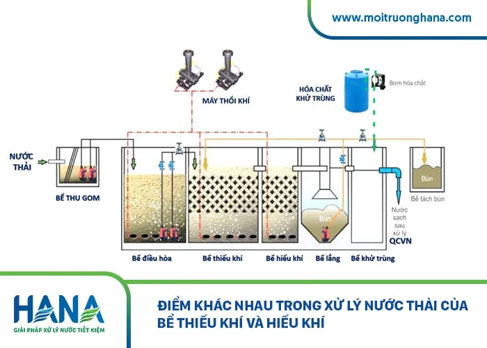 Sơ đồ mô tả quy trình chuyển đổi nitơ trong hệ thống xử lý nước thải, bao gồm các giai đoạn thiếu khí và hiếu khí, đóng vai trò then chốt trong loại bỏ ô nhiễm.