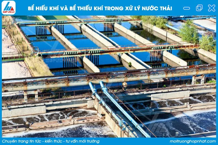 So sánh bể hiếu khí và bể kỵ khí trong hệ thống xử lý nước thải