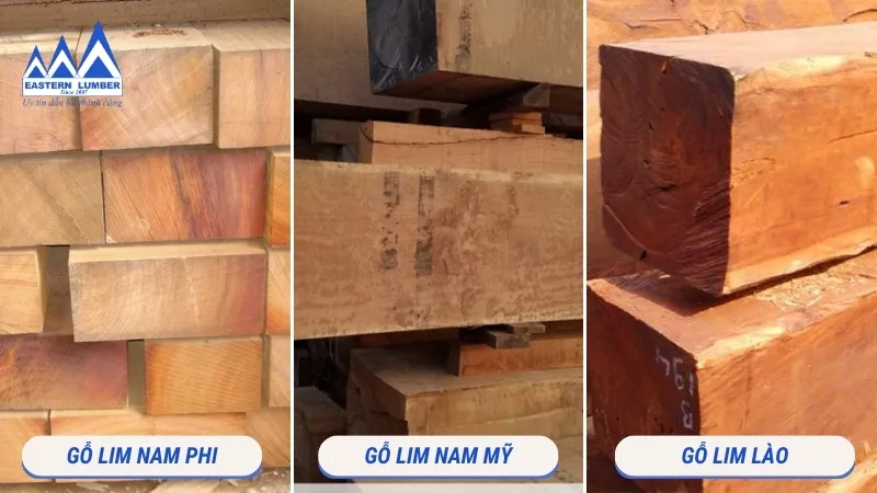 So sánh các loại gỗ lim phổ biến như Lim Nam Phi, Lim Nam Mỹ và Lim Lào, ảnh hưởng đến giá gỗ lim