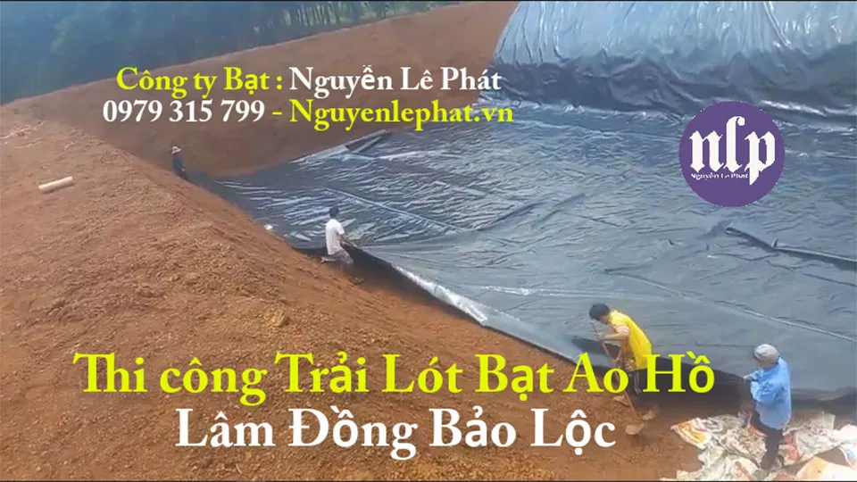 So sánh ưu nhược điểm bạt làm bể cá