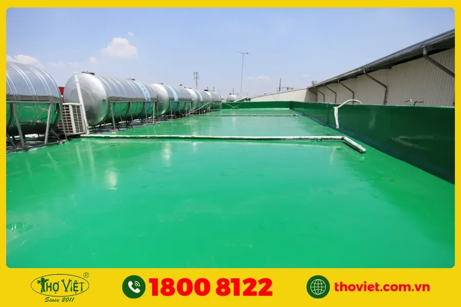 Sơn chống thấm Epoxy chuyên dụng bảo vệ hồ cá trên sân thượng