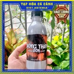 Sơn chống thầm hồ cá màu xám