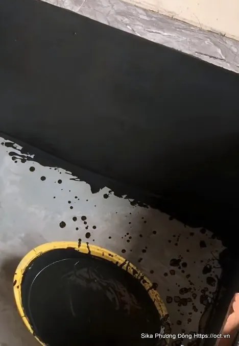 Sơn đen đáy hồ cá