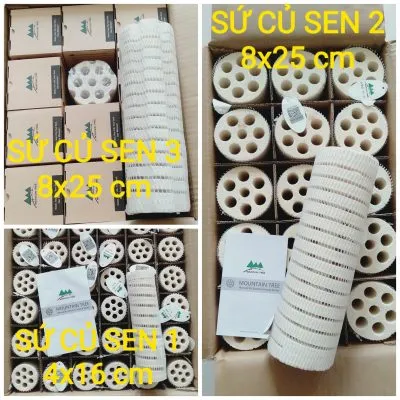 Sứ củ sen với thiết kế xoắn và vật liệu siêu xốp, tối ưu cho lọc sinh học trong hồ cá Koi