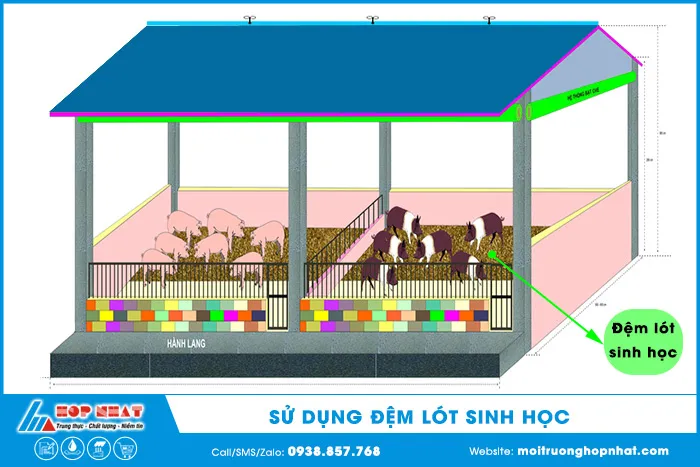 Sử dụng đệm lót sinh học trong chuồng trại chăn nuôi lợn giảm ô nhiễm